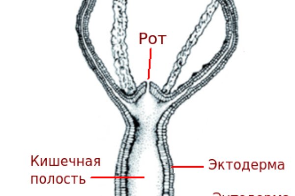 Kraken tor ссылка kraken014 com